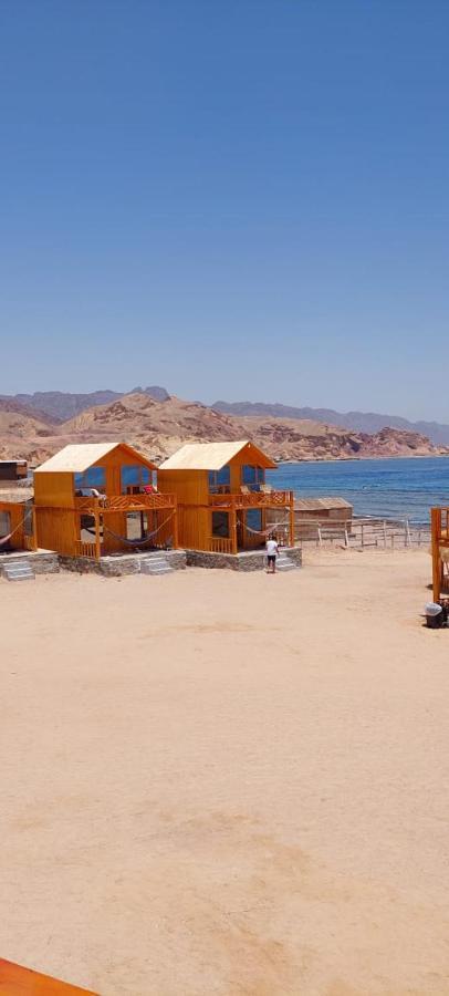 Full Moon Camp Sinai Hotell Nuweiba` Exteriör bild